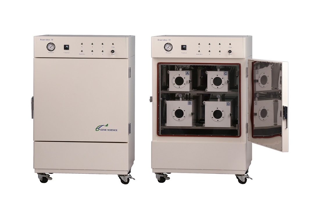 1585204034122339.jpg ABIV1.jpg